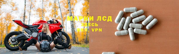 амф Алзамай