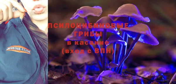 ешки Покровск