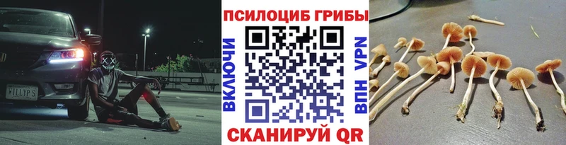 цены наркотик  Краснознаменск  Псилоцибиновые грибы ЛСД 