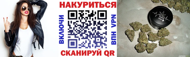 где купить наркоту  Краснознаменск  Бошки марихуана Amnesia 